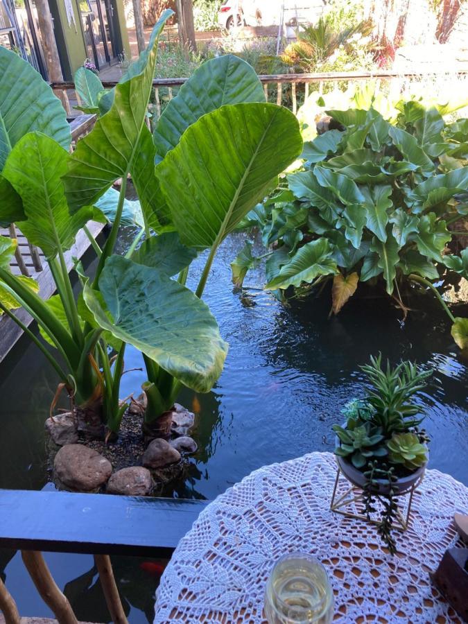 The Ranch Guesthouse Potchefstroom Ngoại thất bức ảnh